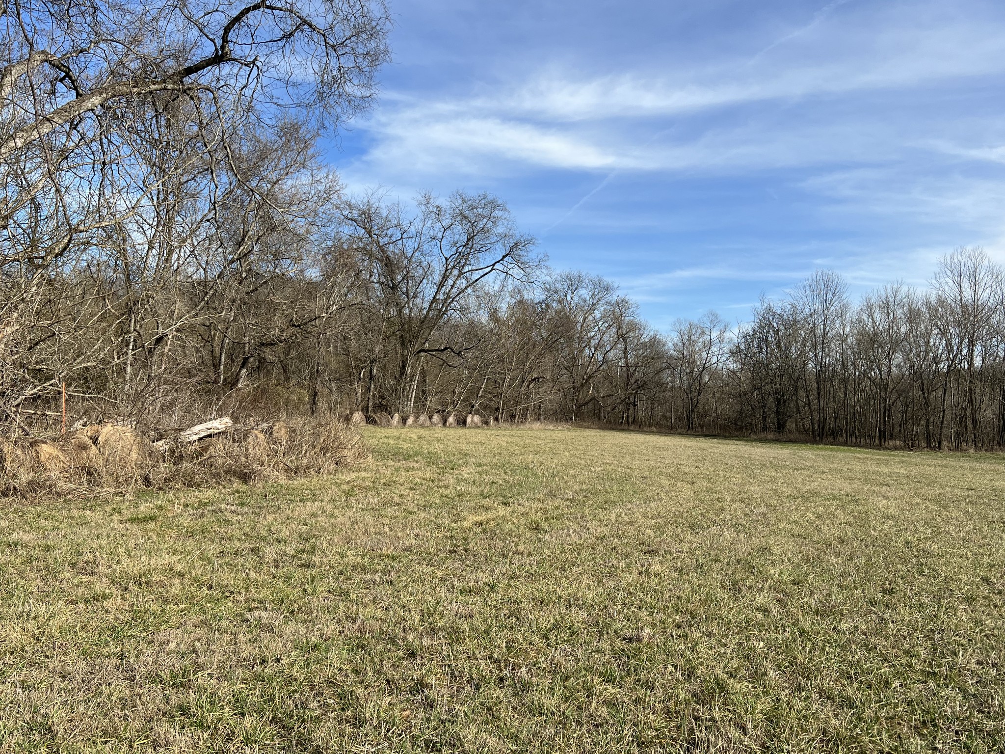 0 Tarsus Road Palmyra, TN 37142 - Photo 7 of 8 Gallery Image 7