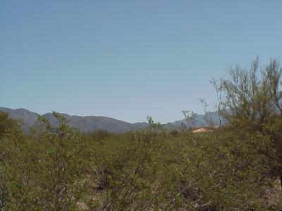 2 North Drake Place Tucson, AZ 85749 - Photo 4 of 6