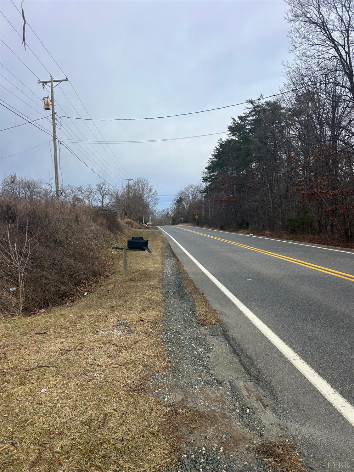 0 Dixie Airport Road Madison Heights, VA 24572 - Photo 3 of 3 a view of a yard with a road