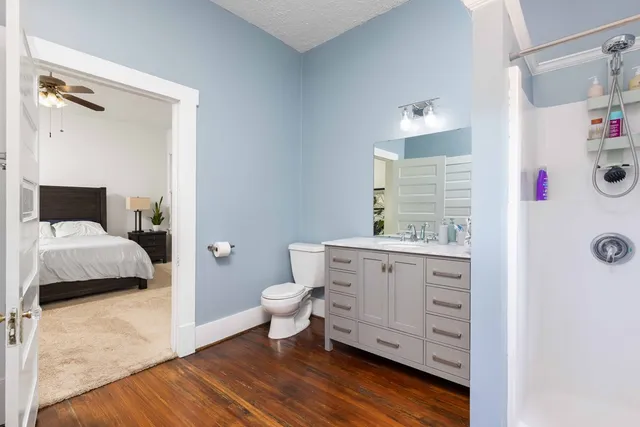 a bathroom with a sink toilet and vanity