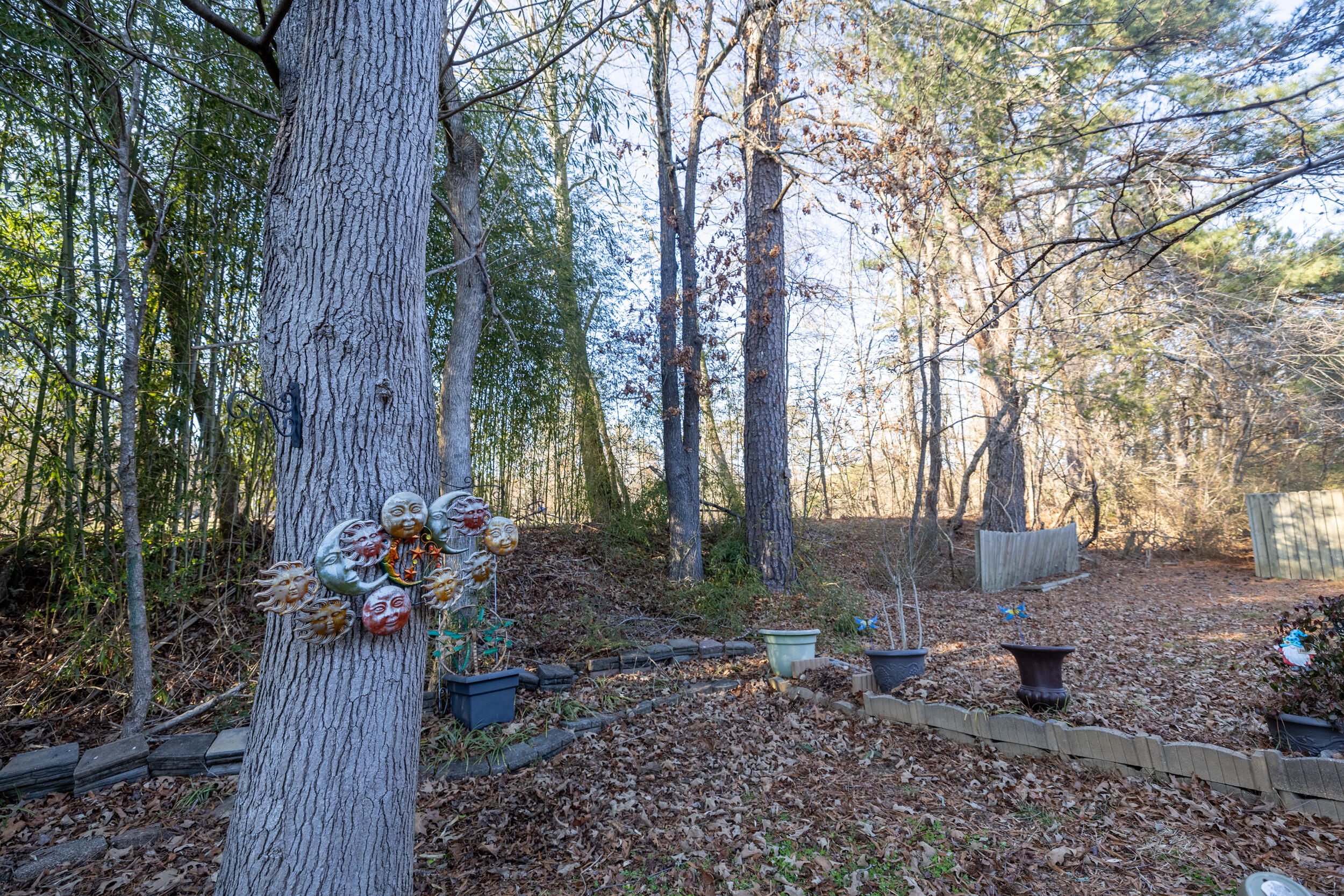 1127 Lenny Lane Chattanooga, TN 37421 - Photo 26 of 31 JN2_1583-HDR
