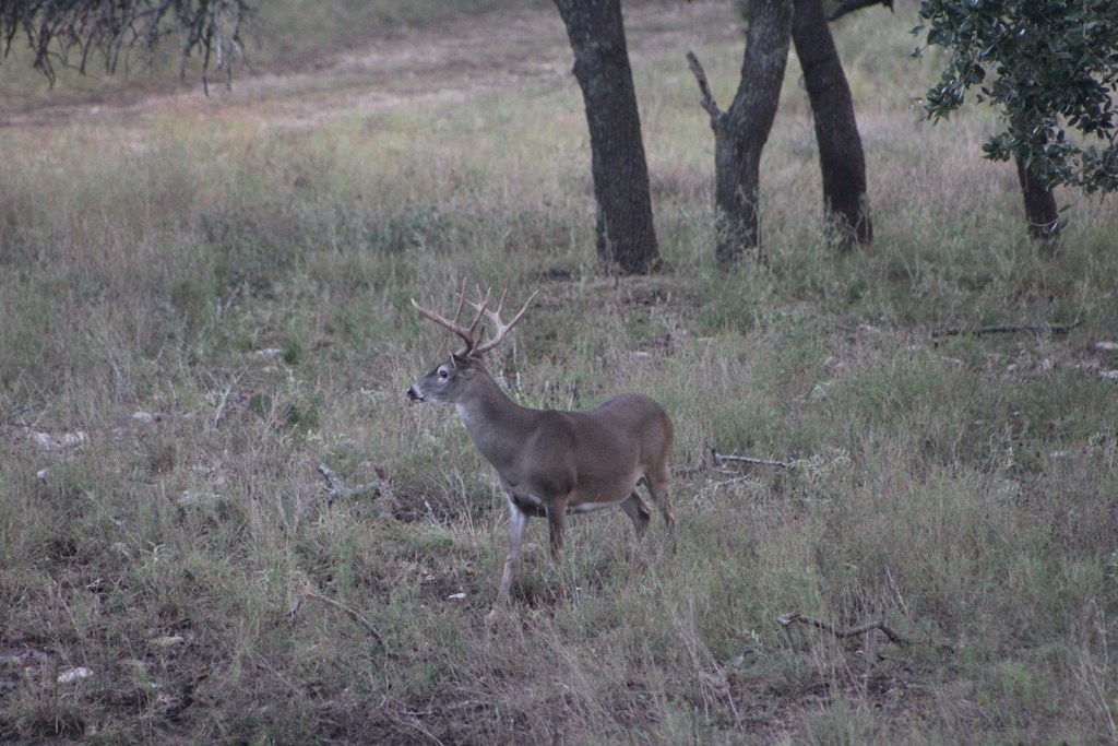 25 Blackjack Ranch Road, Unit 25 Harper, TX 78631 - Photo 7 of 8 Gallery Image 7