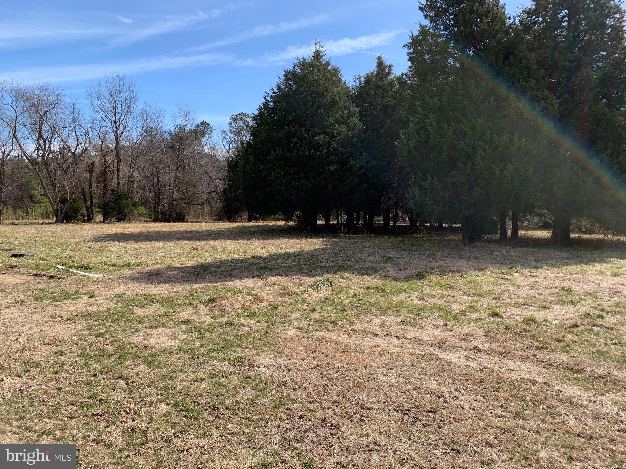 15080 Round Hill Road King George, VA 22485 - Photo 2 of 13 Beautiful acreage!