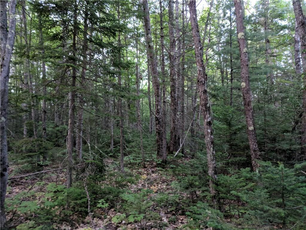M5-l5a Cedar Pond Road Durham, ME 04222 - Photo 6 of 7 Photo