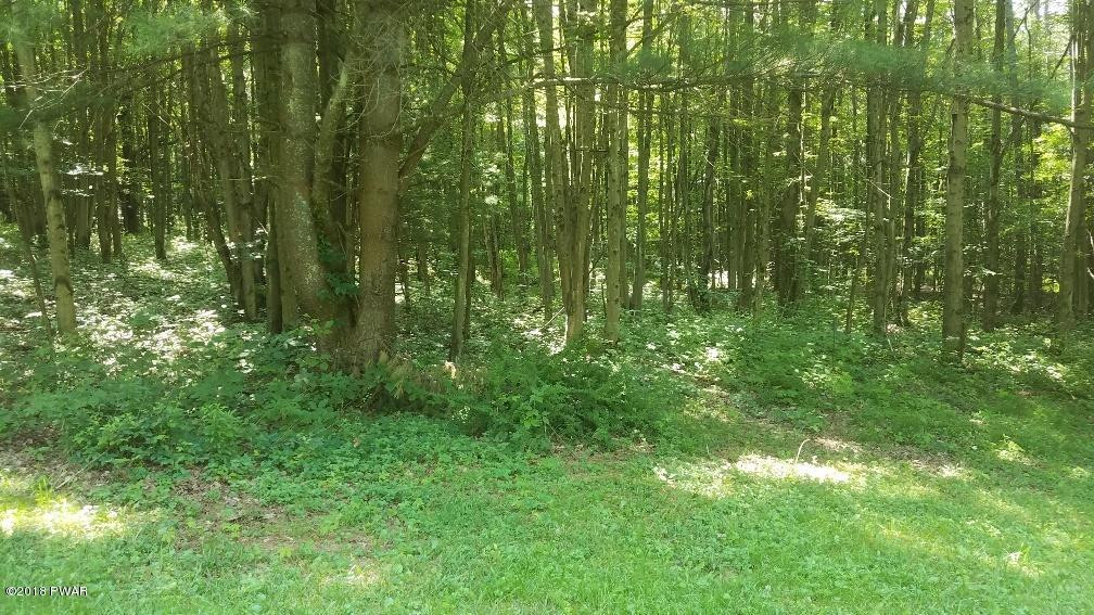 829 King Hill Road Starrucca, PA 18462 - Photo 7 of 20