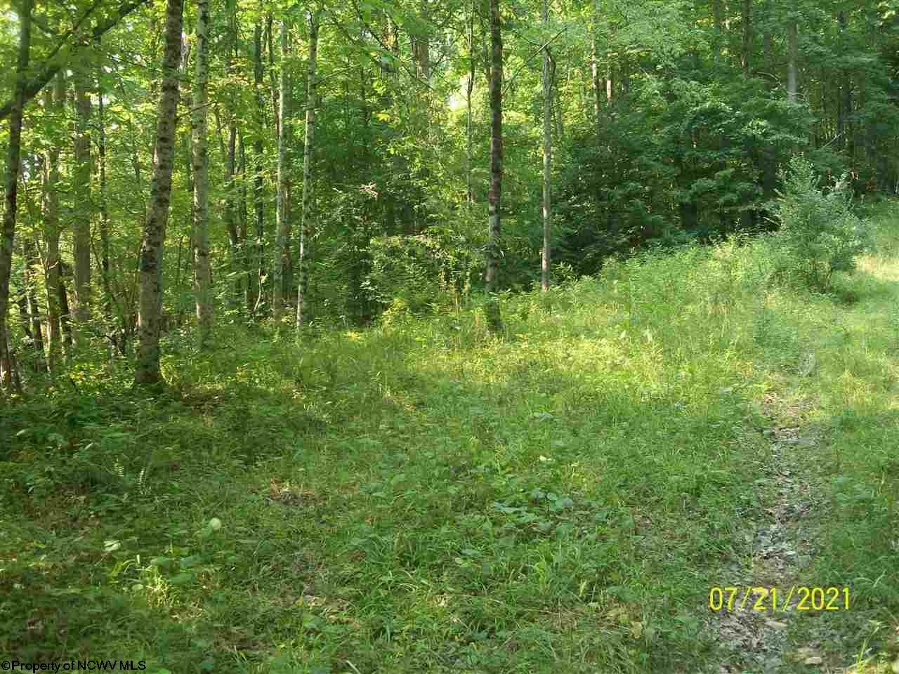 0 Dan Town Road Philippi, WV 26416 - Photo 6 of 9 Gallery Image 6
