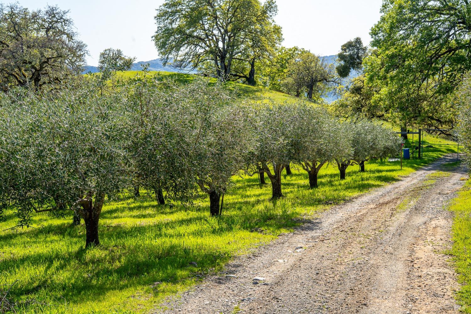 5155 Mill Creek Road Ukiah, CA 95482 - Photo 27 of 48