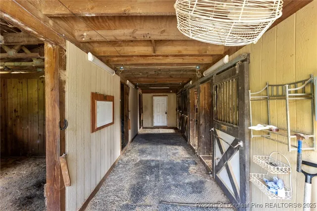 a view of a park with large trees