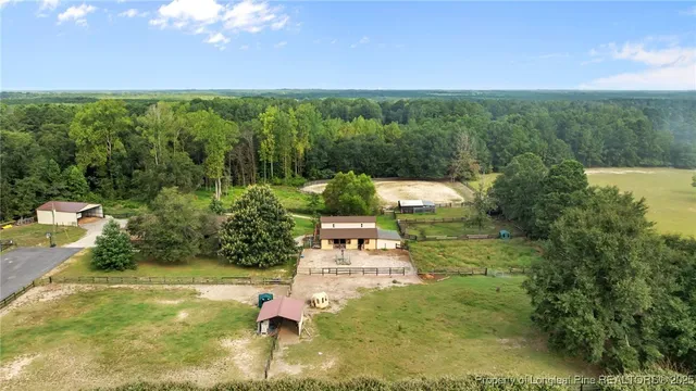 an aerial view of a house with a yard and large trees