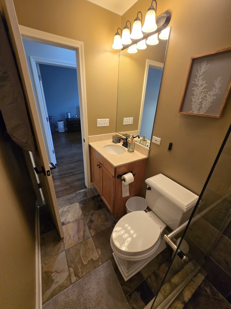 1915 South State Street, Unit 3 Chicago, IL 60616 - Photo 15 of 29 a bathroom with a toilet a sink and mirror