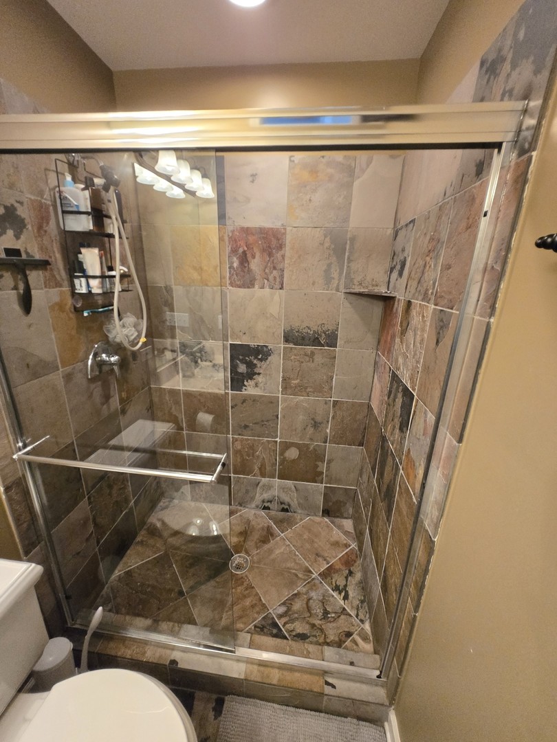 1915 South State Street, Unit 3 Chicago, IL 60616 - Photo 16 of 29 a bathroom with a shower and toilet