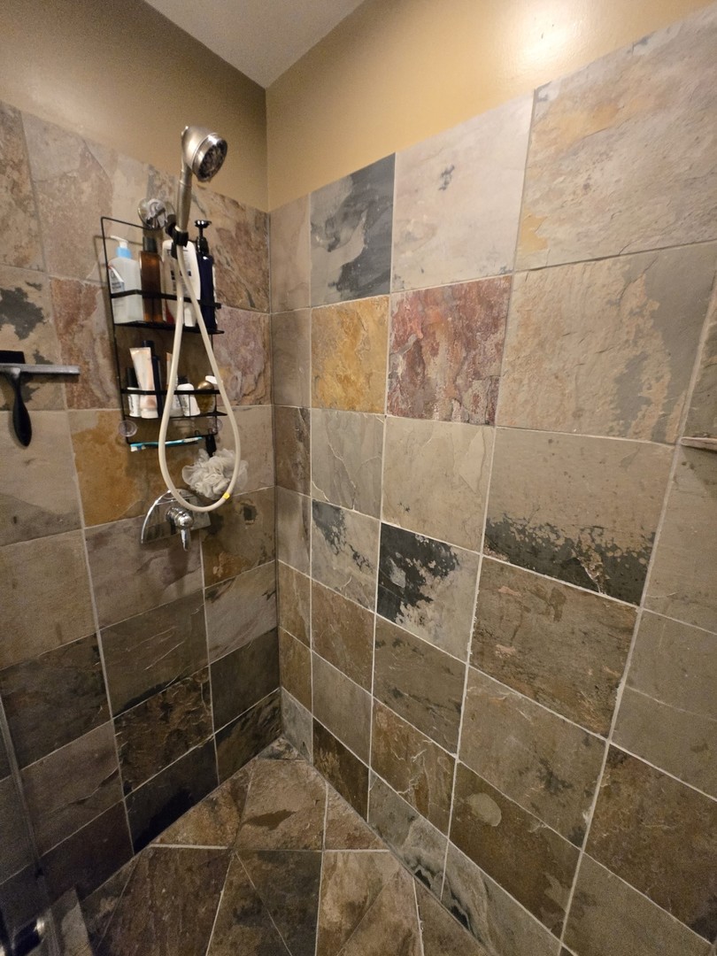 1915 South State Street, Unit 3 Chicago, IL 60616 - Photo 17 of 29 a bathroom with a shower