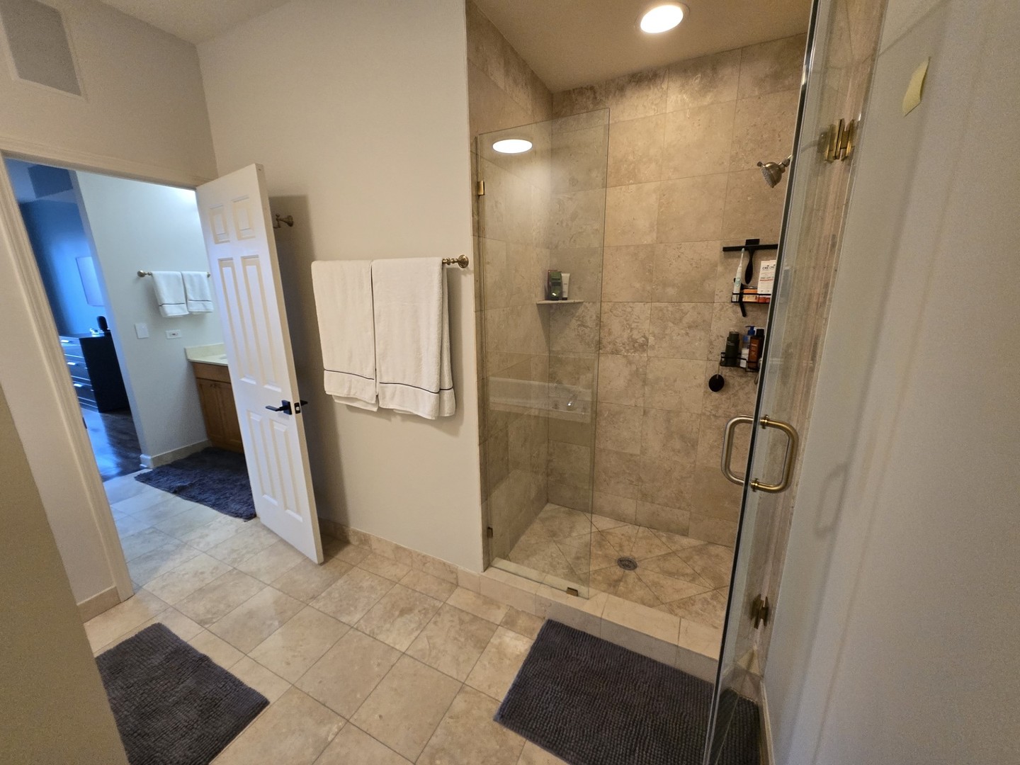1915 South State Street, Unit 3 Chicago, IL 60616 - Photo 25 of 29 a bathroom with a shower and a sink