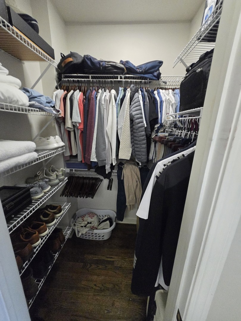 1915 South State Street, Unit 3 Chicago, IL 60616 - Photo 27 of 29 a view of walk in closet with clothes and shoes