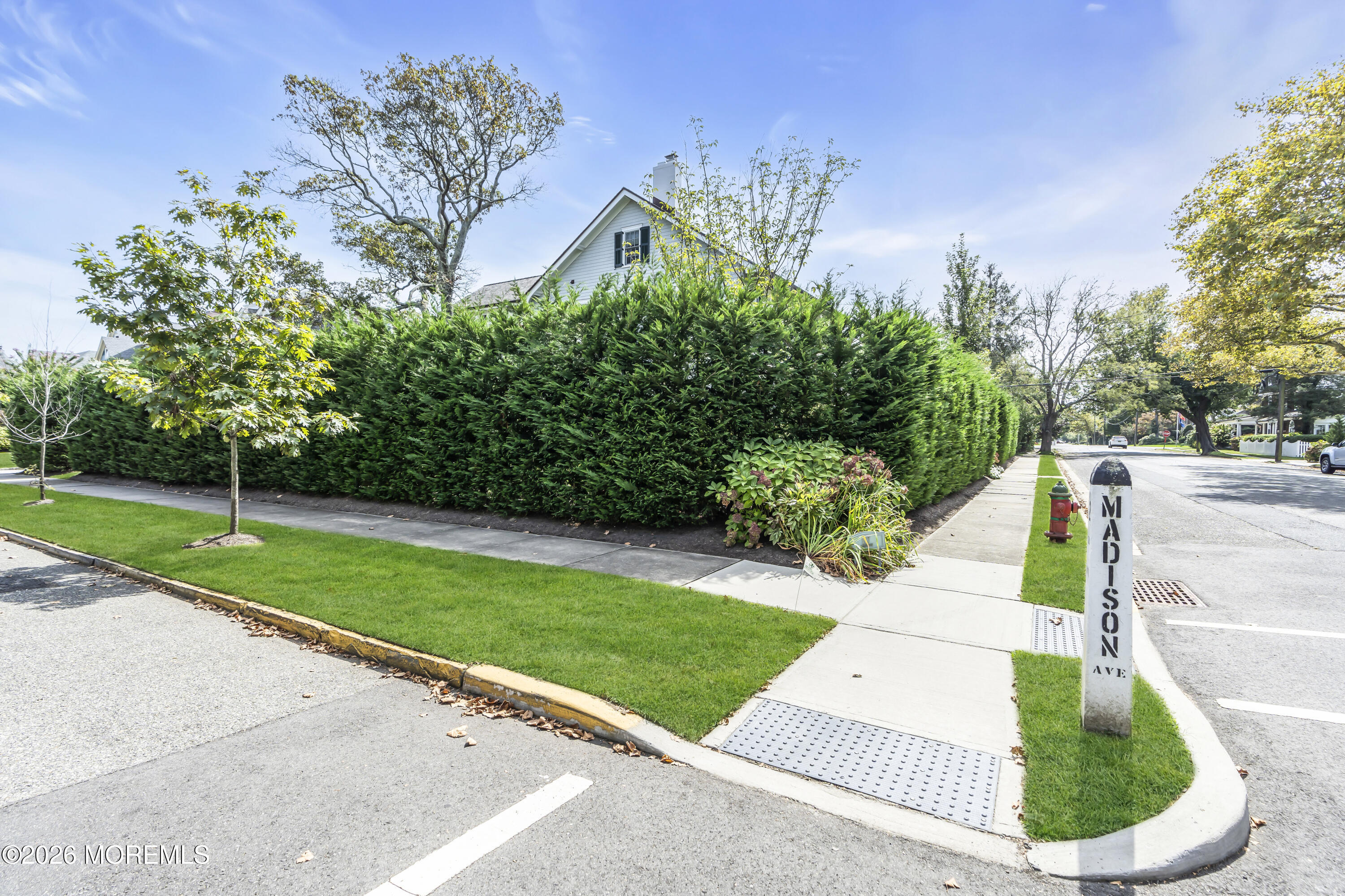 117 Madison Avenue Spring Lake, NJ 07762 - Photo 24 of 96 a view of a park with plants and large trees