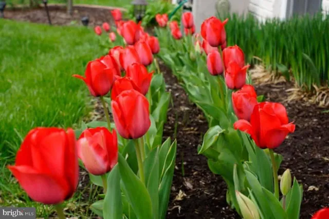 $585,900 | 3618 Carlyle Court, Fredericksburg, VA 22408