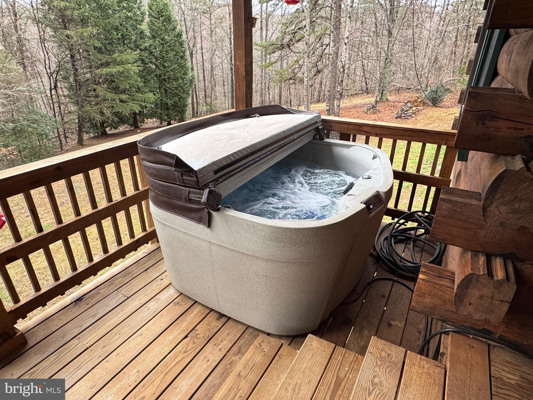 5276 Free State Road Marshall, VA 20115 - Photo 20 of 61 Relaxing hot tub on a serene deck.