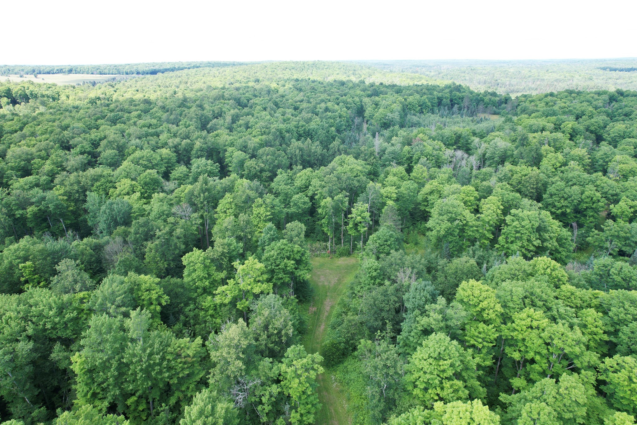 75134 West Road Butternut, WI 54514 - Photo 22 of 35