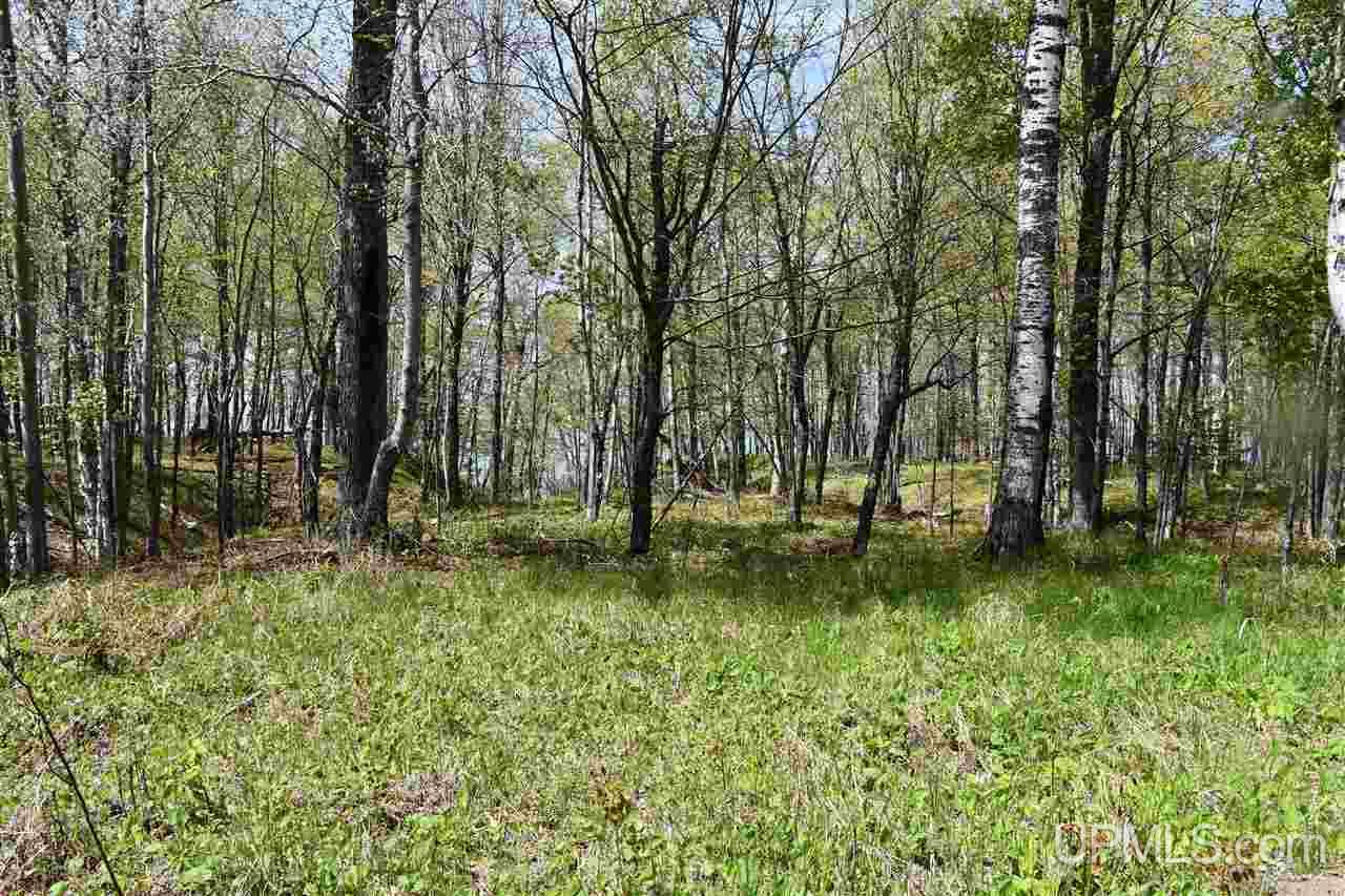 E456 Lake Road Ironwood, MI 49938 - Photo 33 of 39