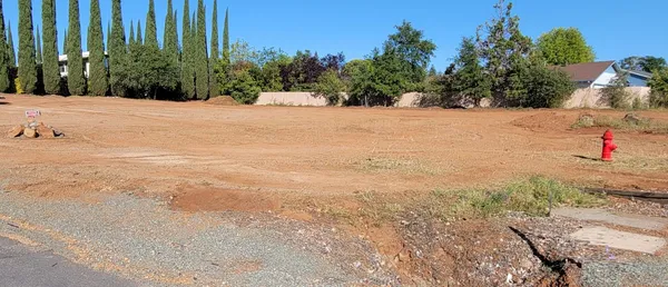 a street view of a backyard of a house