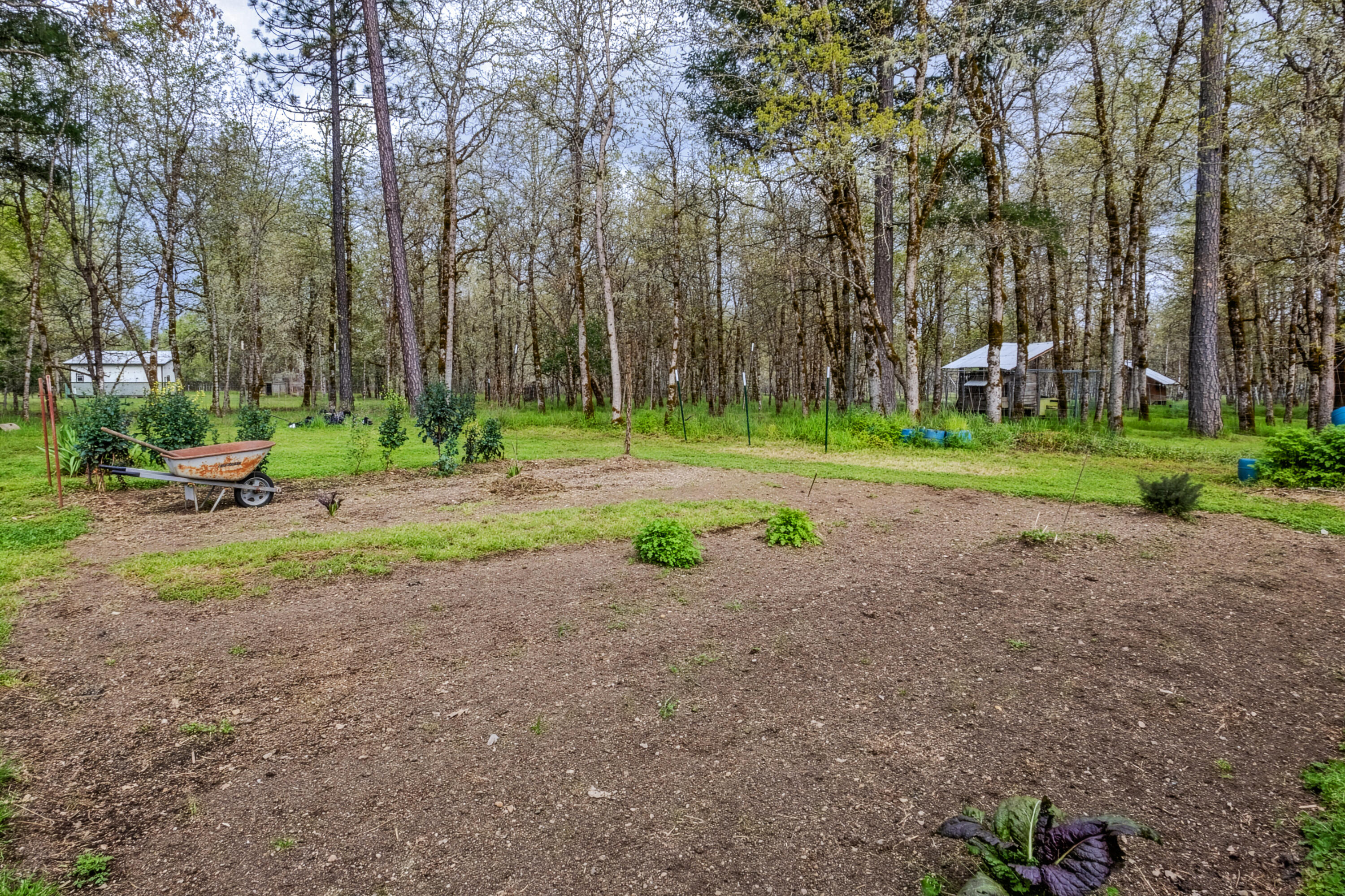 360 Lamont Way Cave Junction, OR 97523 - Photo 29 of 31