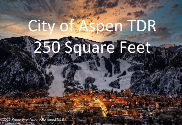 $725,000 | City City Tdr, Aspen, CO 81611