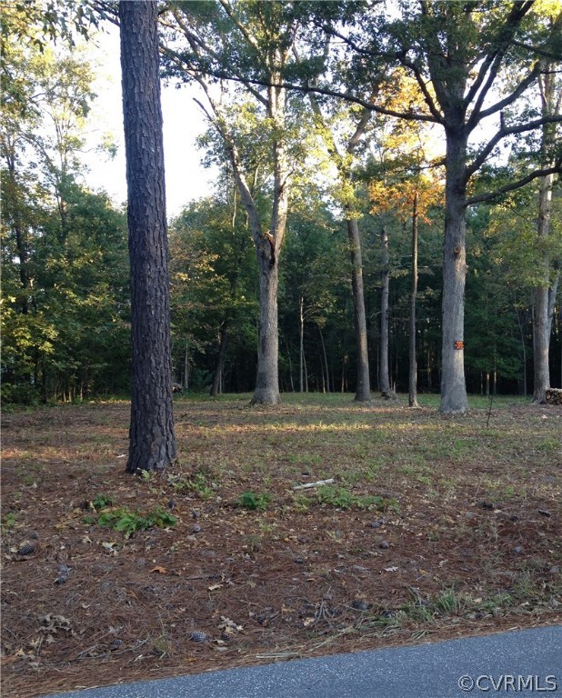 4200 Baldwin Road Chester, VA 23831 - Photo 2 of 2