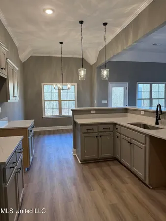 $420,000 | 5290 Watson Vw Drive, Nesbit, MS 38651