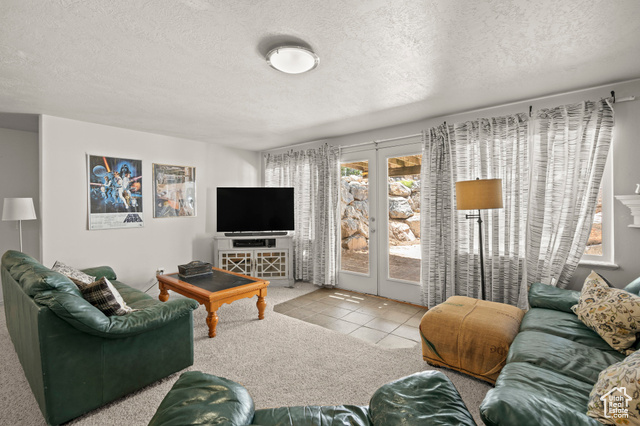 135 Cove Drive Elk Ridge, UT 84651 - Photo 29 of 45 Basement Family Room