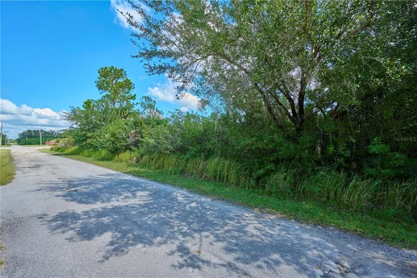 a view of a yard with a tree