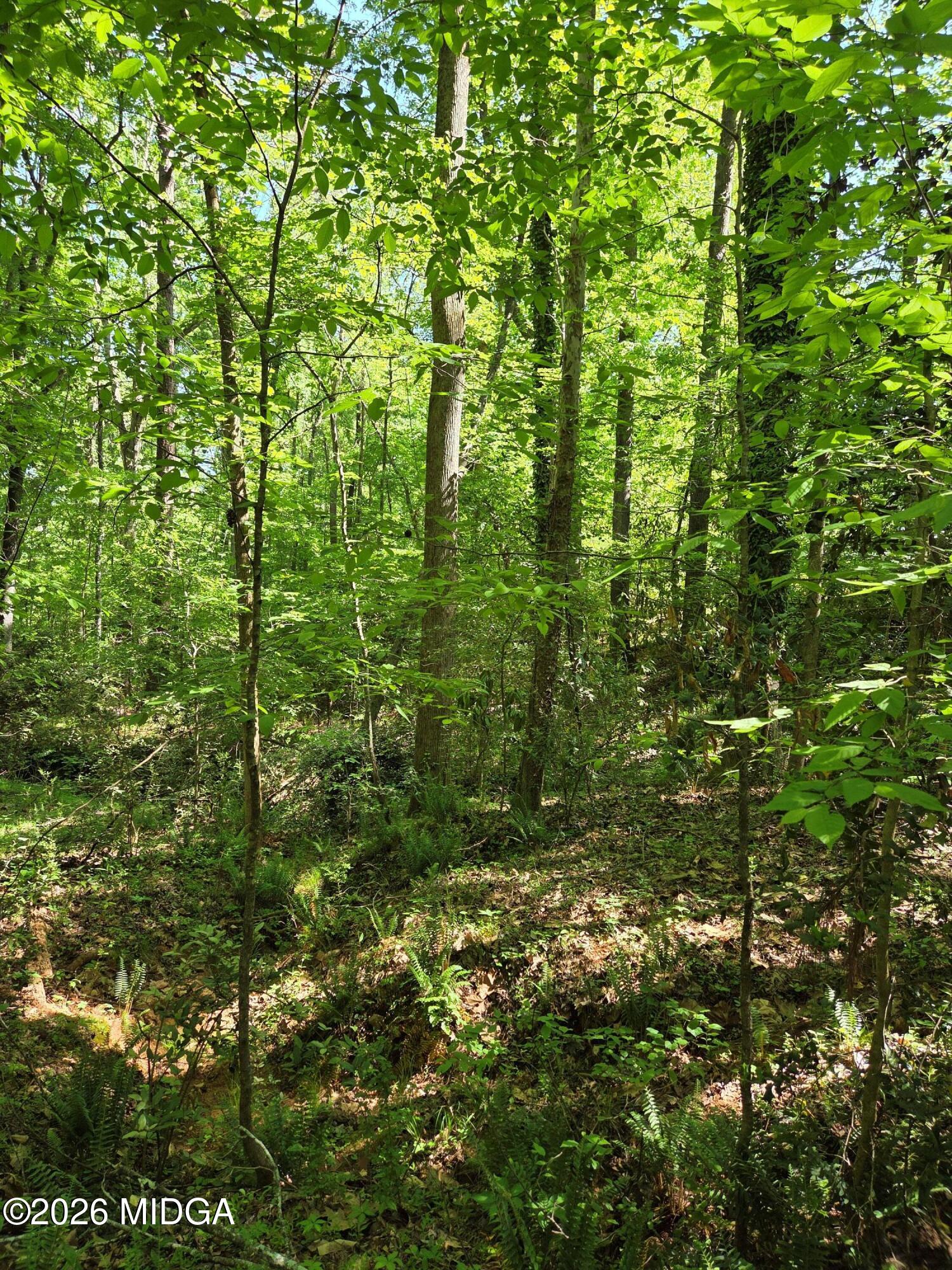1898 Wood Valley Road Macon, GA 31211 - Photo 14 of 18 3