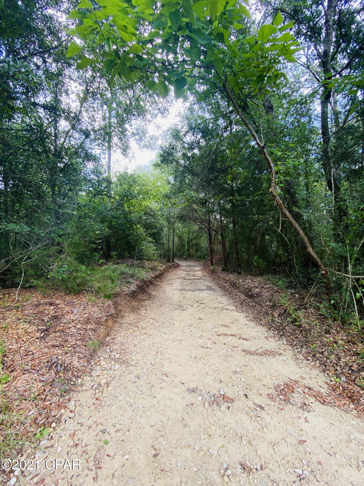 0 Grassy Pond Road, Unit GREENHEAD) Chipley, FL 32428 - Photo 2 of 22 Gallery Image 2