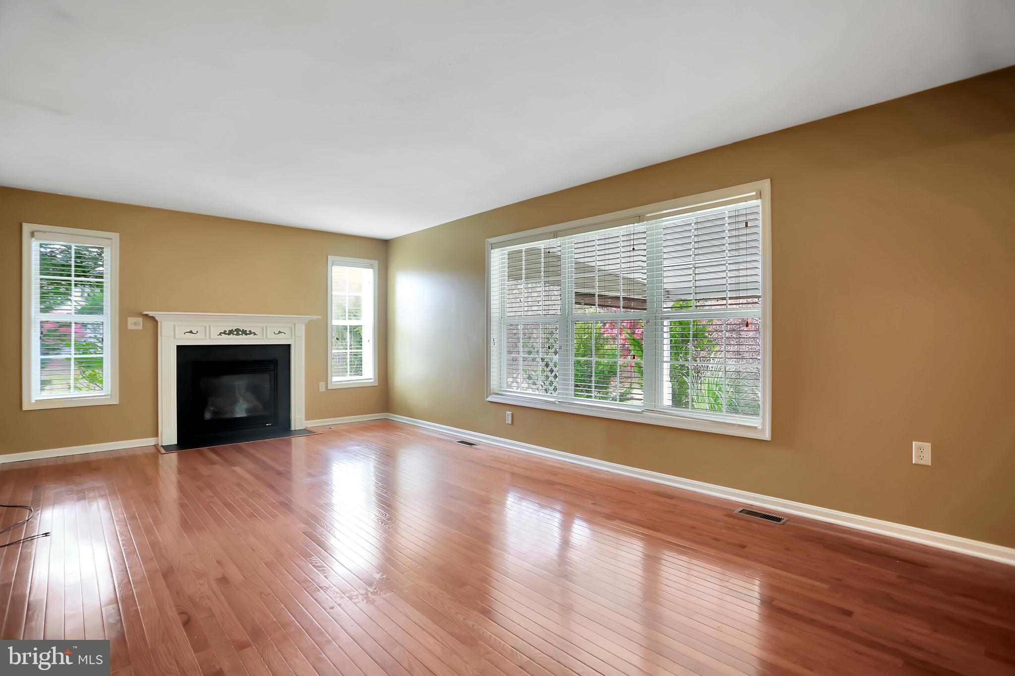343 Ridge View Drive Berkeley Springs, WV 25411 - Photo 15 of 62 Family Room w/ Gas FP