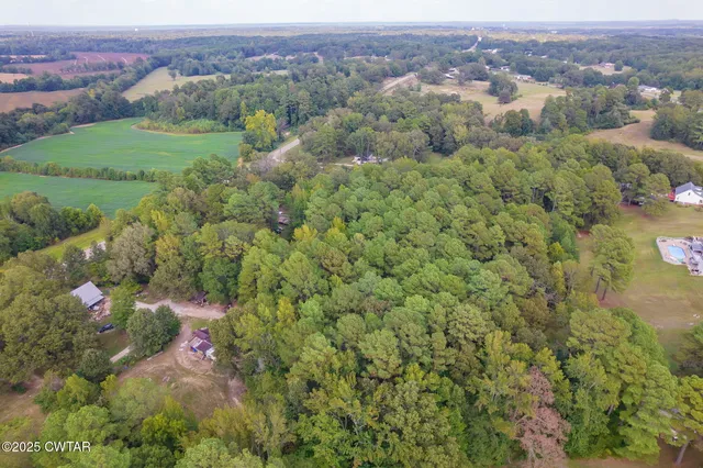 an aerial view of residential houses with outdoor space and trees