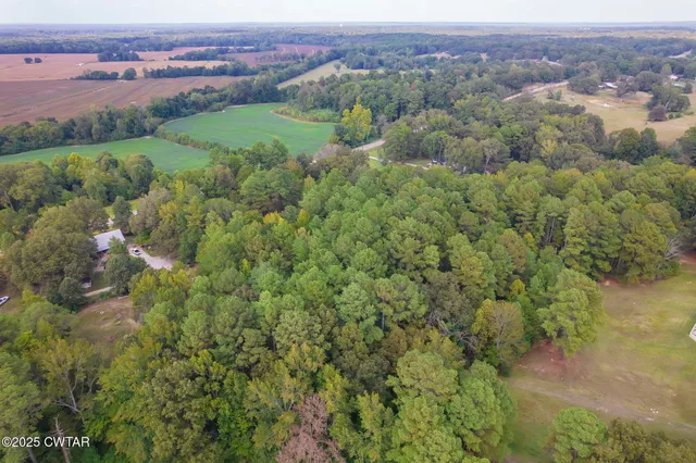 an aerial view of a houses with a lush green hillside