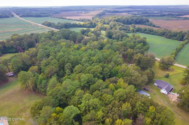 a view of a lush green field with lots of bushes