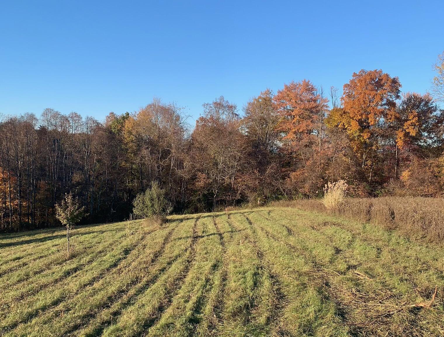 7096 Pleasant View Rd.