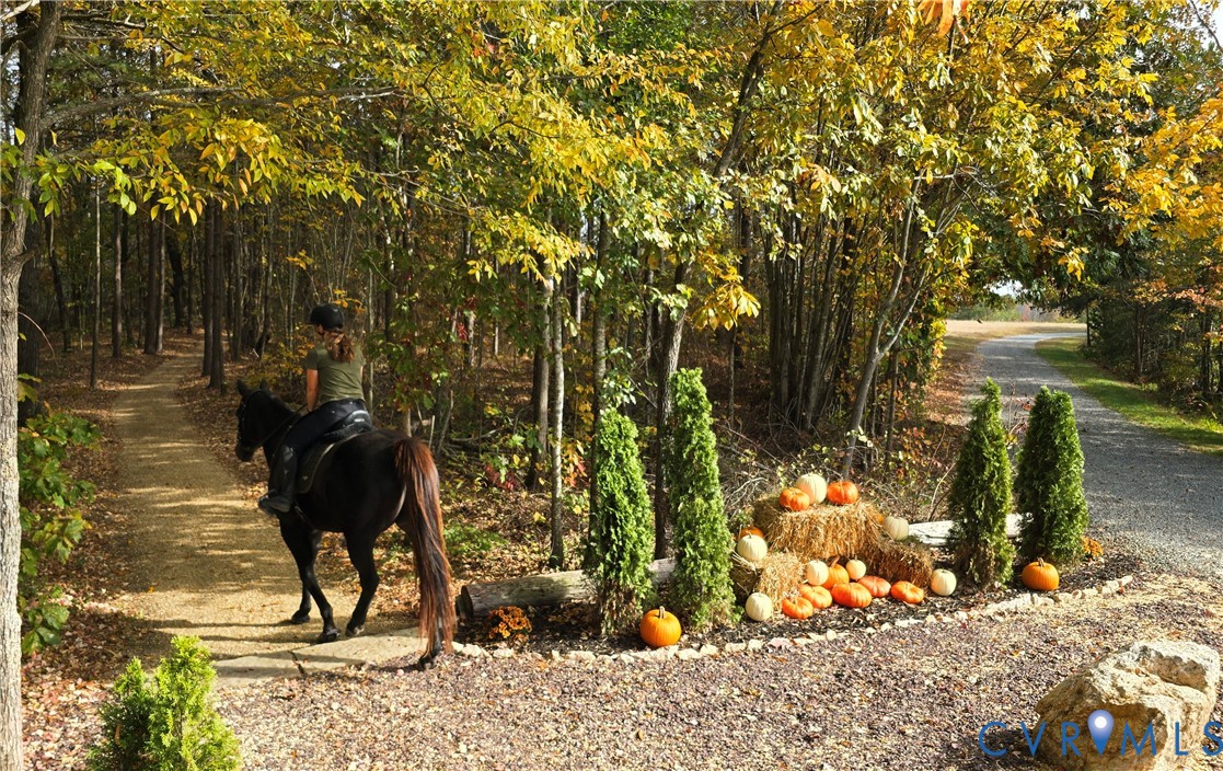 1192 West Store Road Halifax, VA 24558 - Photo 33 of 53