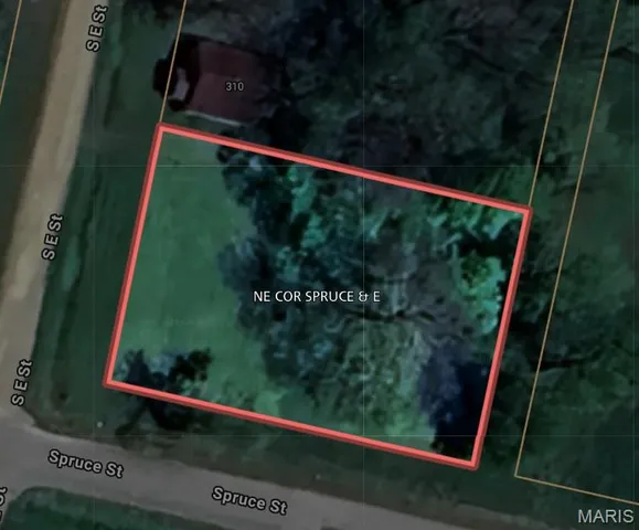 $9,000 | 314 South E Street, Poplar Bluff, MO 63901