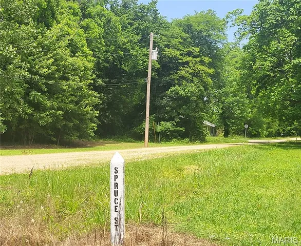 $9,000 | 314 South E Street, Poplar Bluff, MO 63901