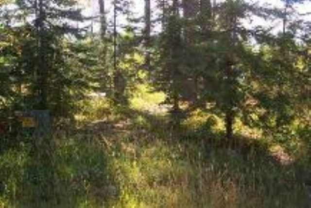 0 Levitch Road Newport, WA 99156 - Photo 2 of 5