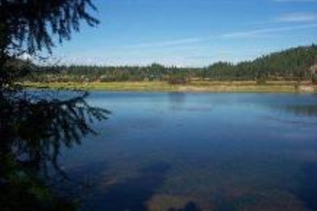 0 Levitch Road Newport, WA 99156 - Photo 3 of 5