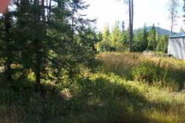 0 Levitch Road Newport, WA 99156 - Photo 4 of 5