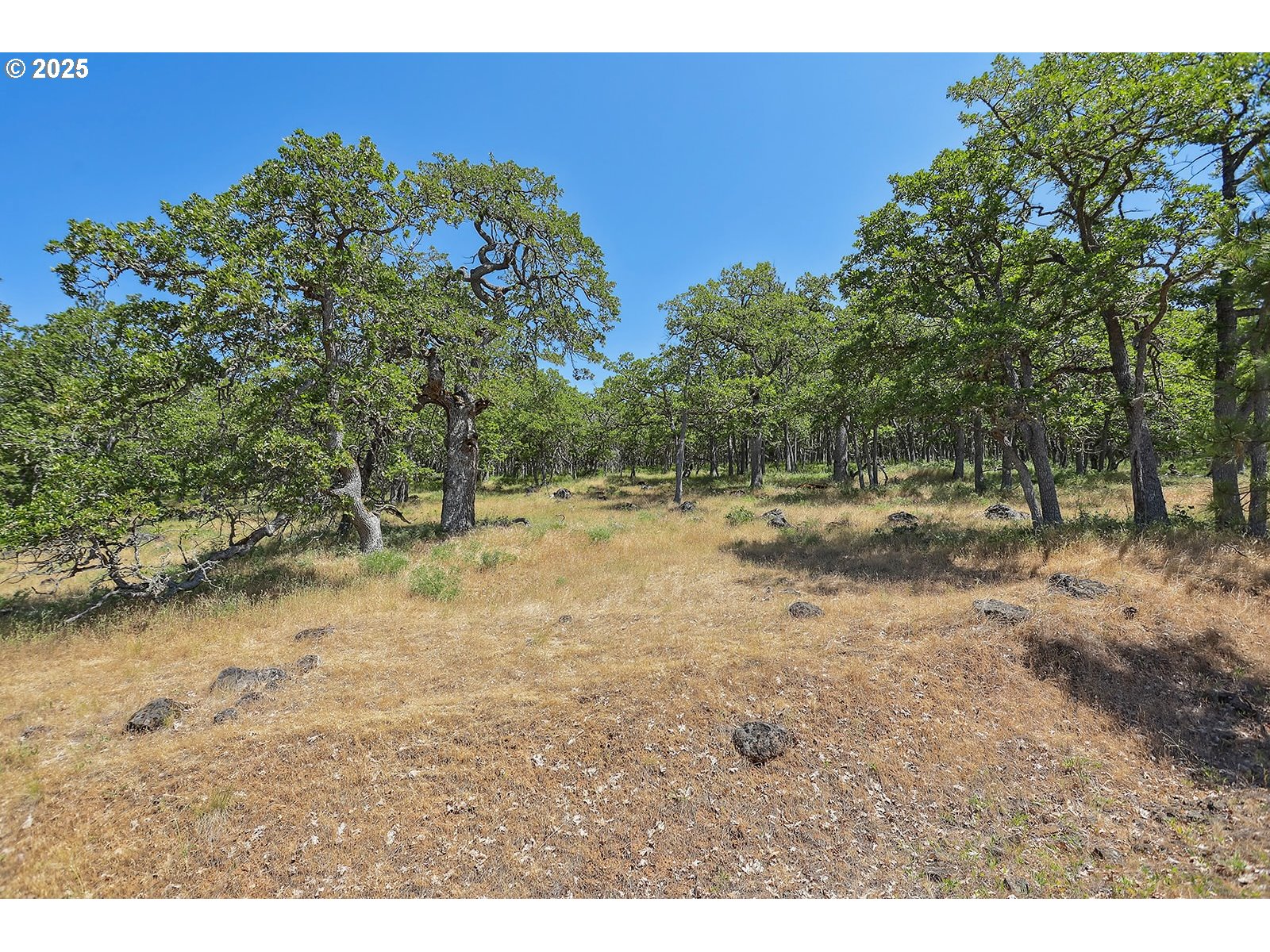 Knoll Ridge Road, Unit 11 Lyle, WA 98635 - Photo 11 of 18 a view of outdoor space with trees all around