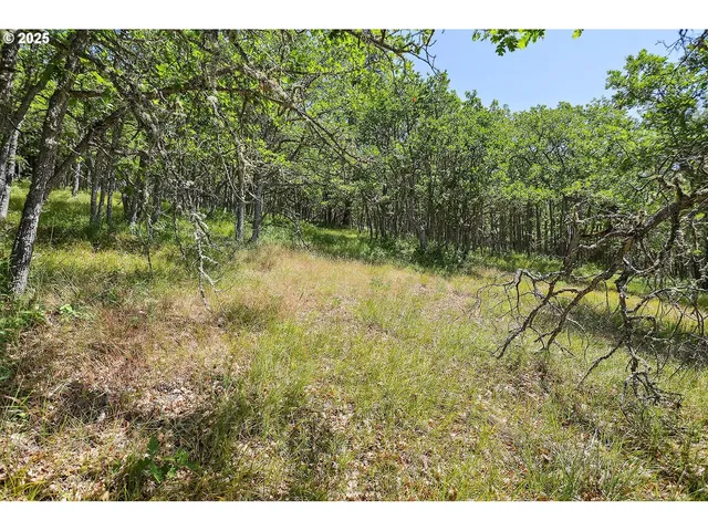 $110,000 | Knoll Ridge Road, Unit 11, Lyle, WA 98635