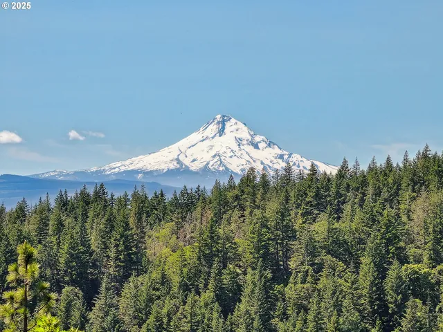 $110,000 | Knoll Ridge Road, Unit 11, Lyle, WA 98635