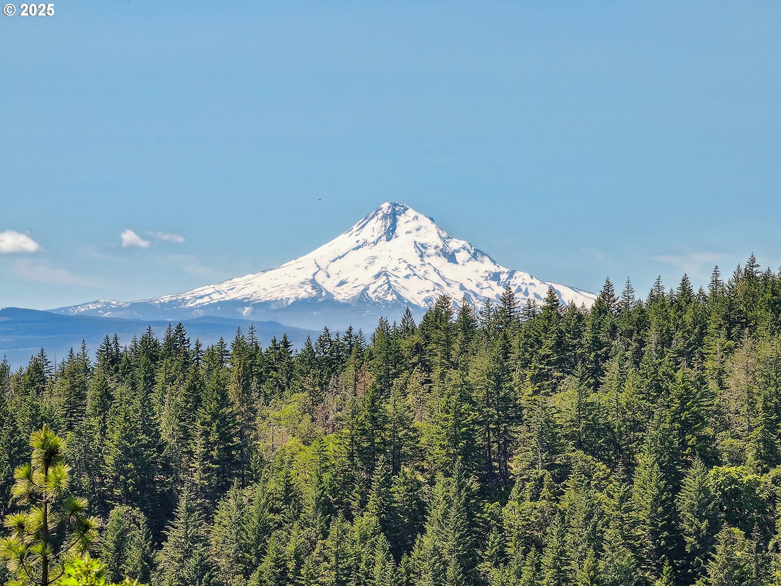 Knoll Ridge Road, Unit 11 Lyle, WA 98635 - Photo 13 of 18 a view of a big yard