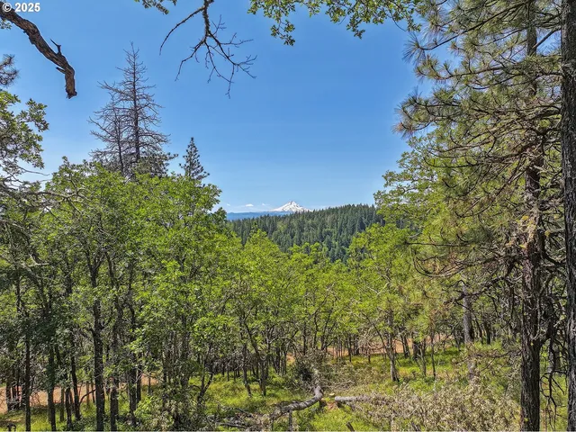 $110,000 | Knoll Ridge Road, Unit 11, Lyle, WA 98635