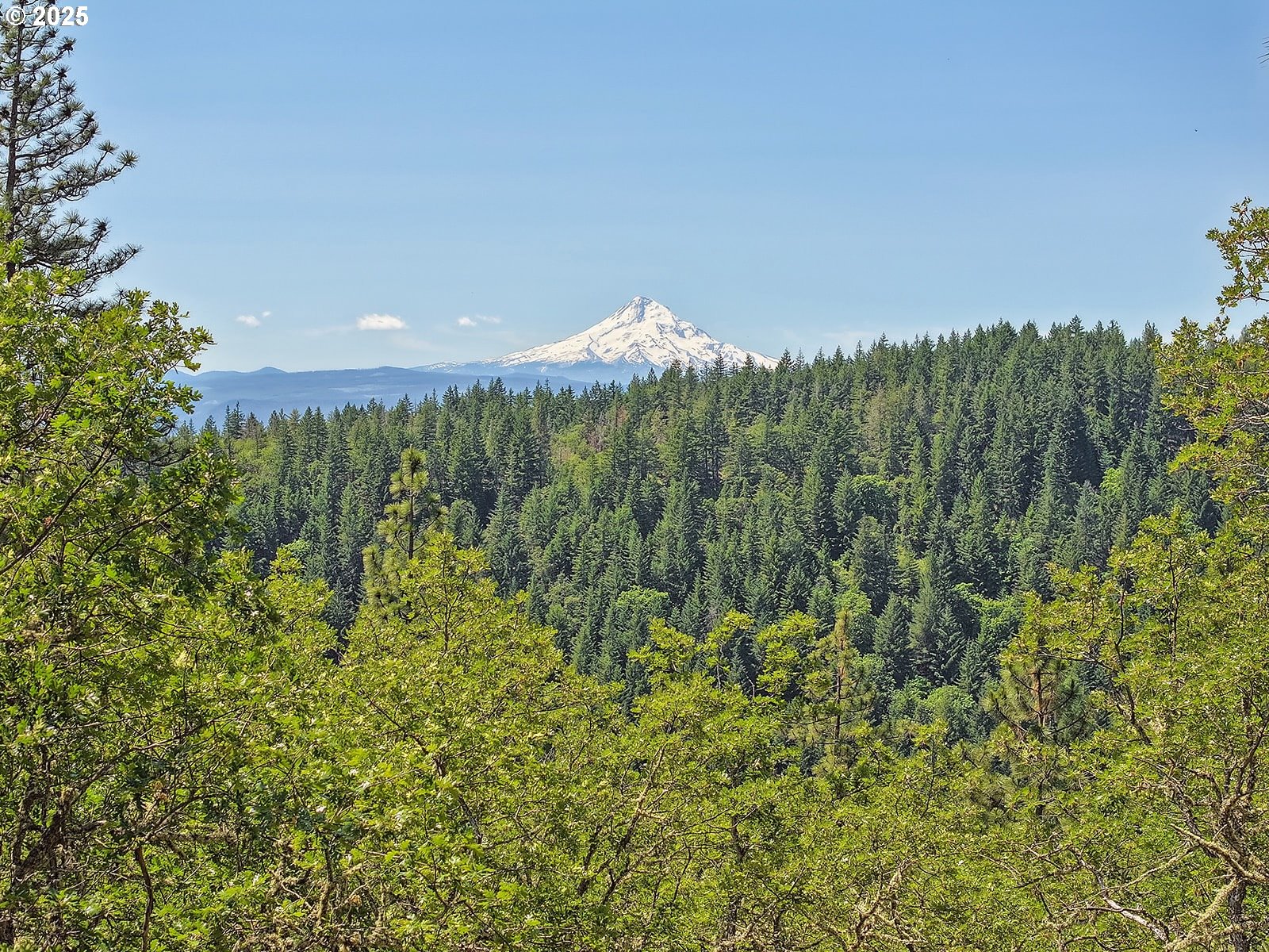 Knoll Ridge Road, Unit 11 Lyle, WA 98635 - Photo 15 of 18 a view of a green field in the middle of a field