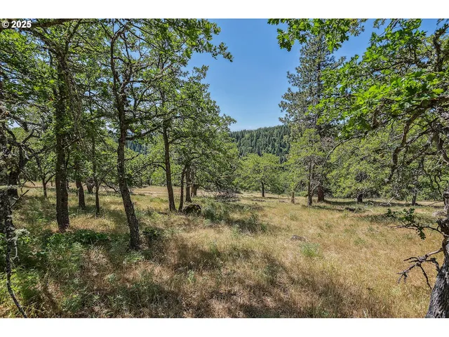 $110,000 | Knoll Ridge Road, Unit 11, Lyle, WA 98635